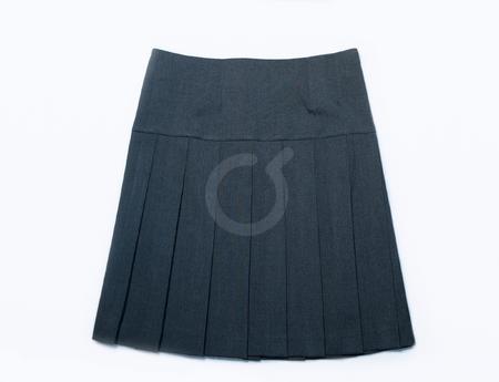 <p>Falda plisada. Casimir.</p>

<p>&nbsp;</p>
