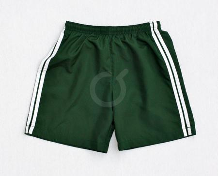 <p>Short. Verde. Vivos blancos. Poli&eacute;ster.</p>

